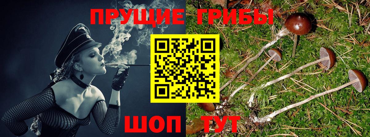 Псилоцибиновые грибы MAGIC MUSHROOMS Юрга